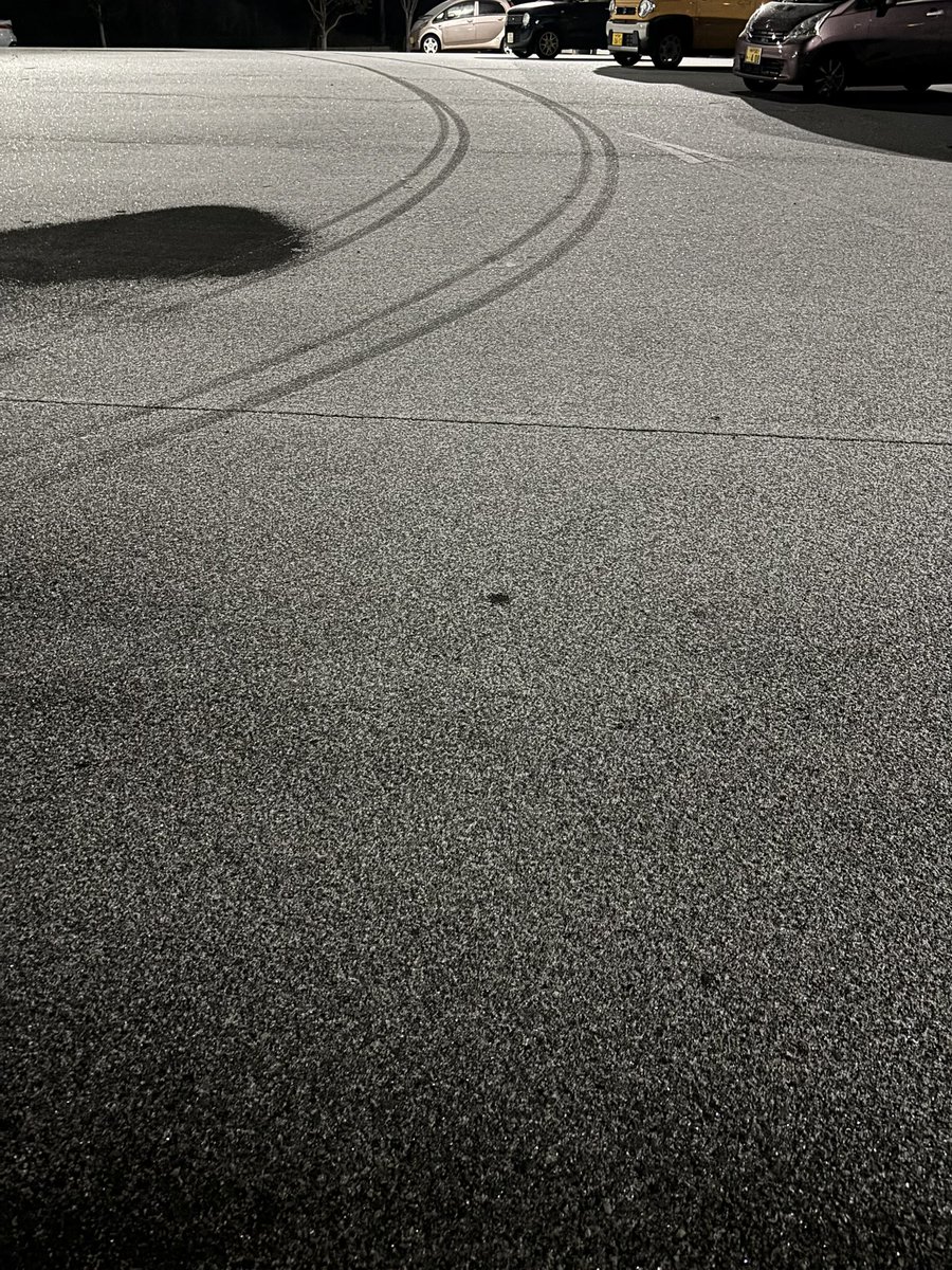 2/23
#日常垢
ふわふわの粉雪でした(*^^*)