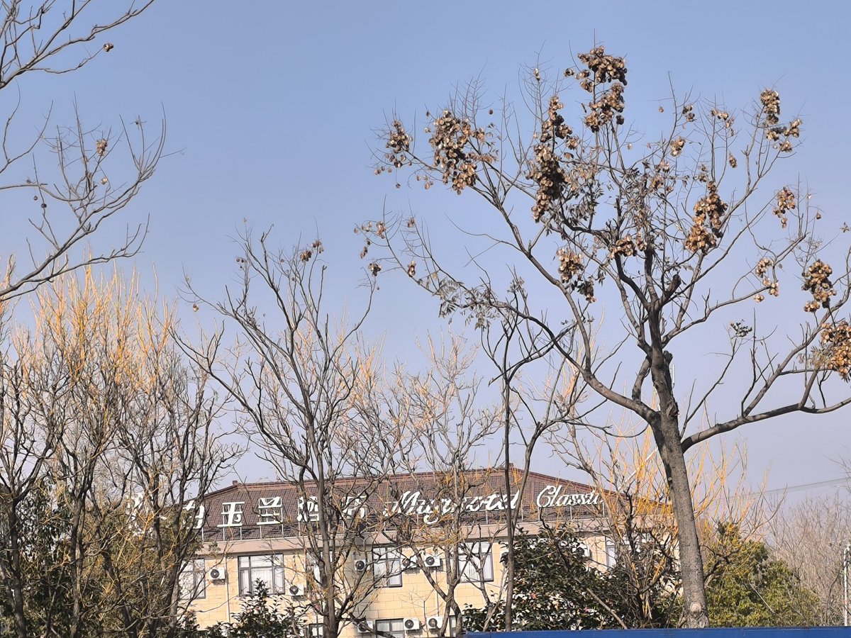 htbaoyu's tweet photo. @52btcge https://t.co/CH0kQBXa4R