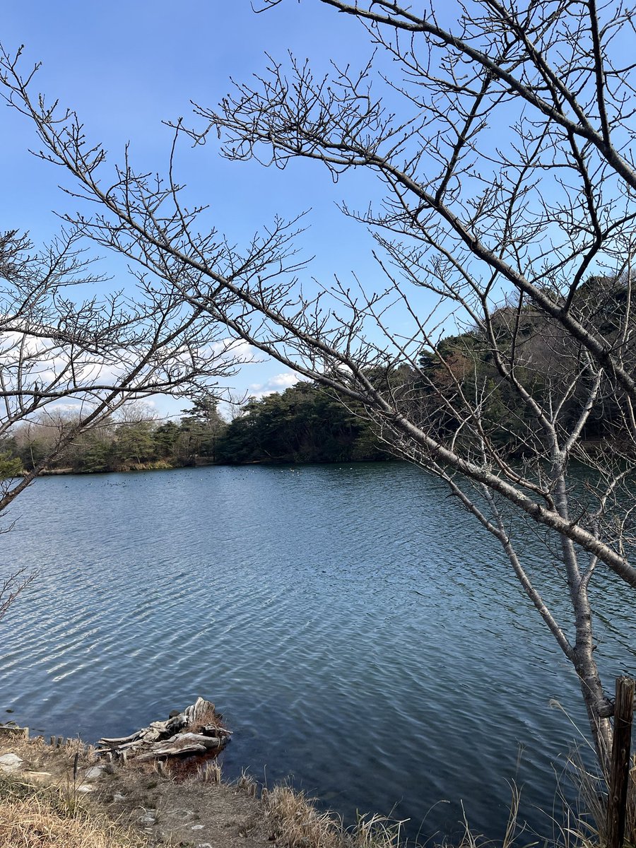 ynaka28's tweet photo. 連休中の貴重な晴れ☀️
走らないわけにはいきません。
ってことで今日も近場をぶらり。
#くろんど池
#YAMAHA
#vmax
#thunderace
#yzfr1
#ツーリング
#バイク乗りと繋がりたい
#バイク好きと繋がりたい
#バイク好きな人と繋がりたい https://t.co/IXH46mtzyd