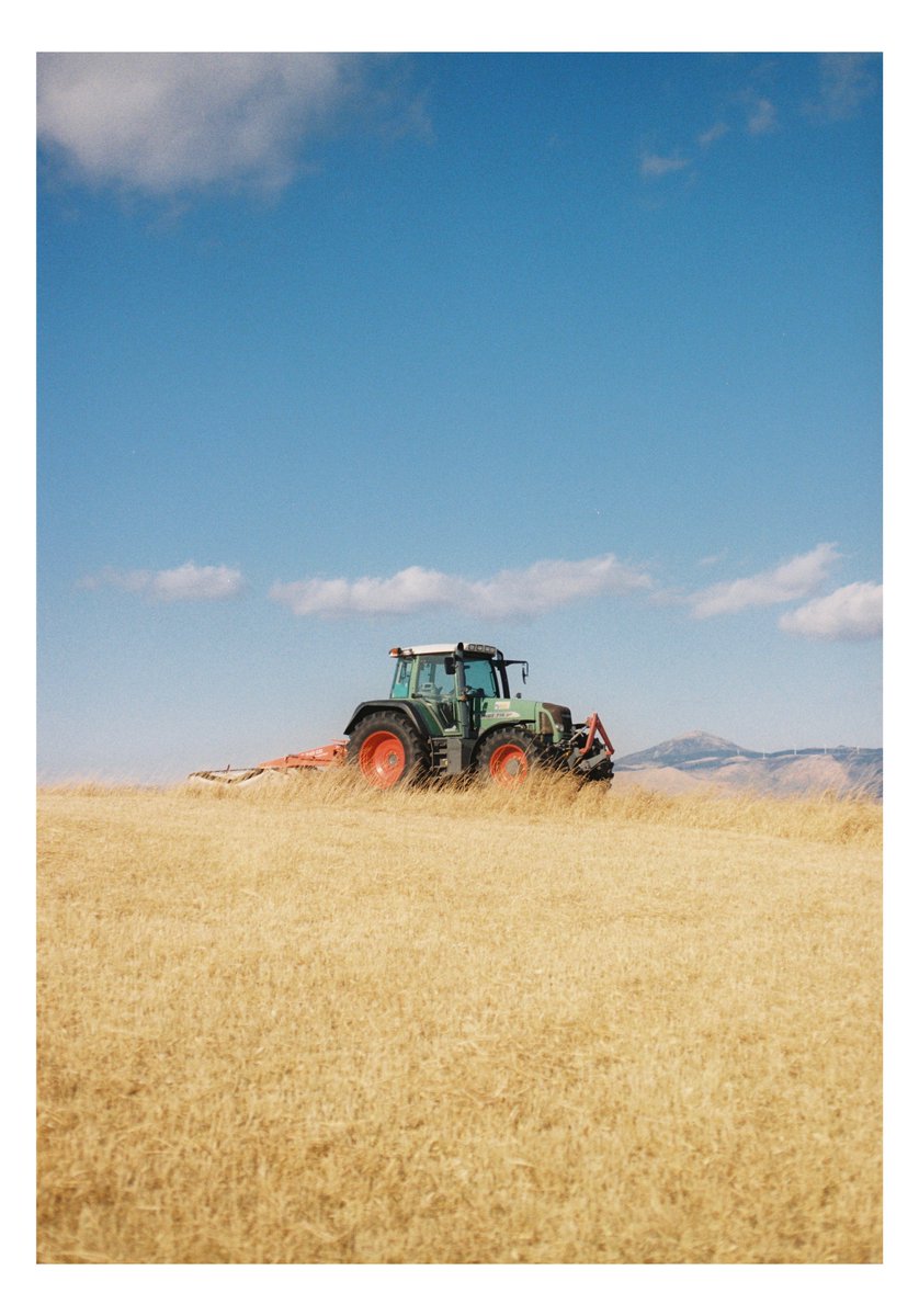 Whale_pic's tweet image. NikonF3
Kodak Gold200