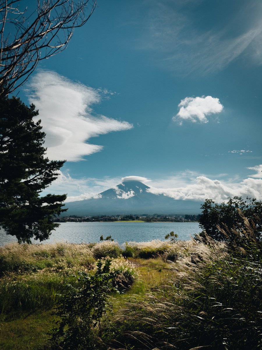 UltraLinx's tweet image. Japan shot on iPhone

iphonecreatorcourse.com