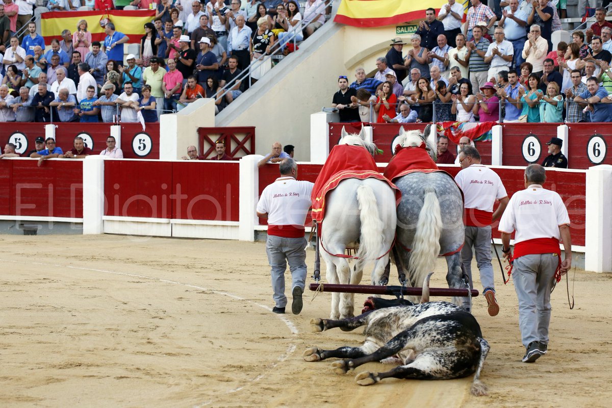 Viendo esto me acuerdo de aquel Sabor n°6 de Torrestrella que murió como bravo en ese mismo ruedo, ningún indulto en esta plaza ha estado a la altura de aquel burraco y eso que aquel le costó tomar la primera vara. El toro que me hizo aficionado.