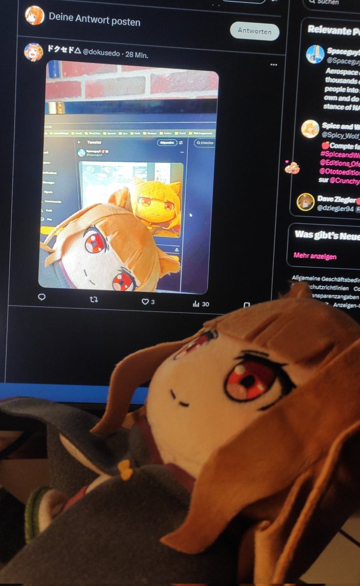 Holo🐺🍎 tweet media