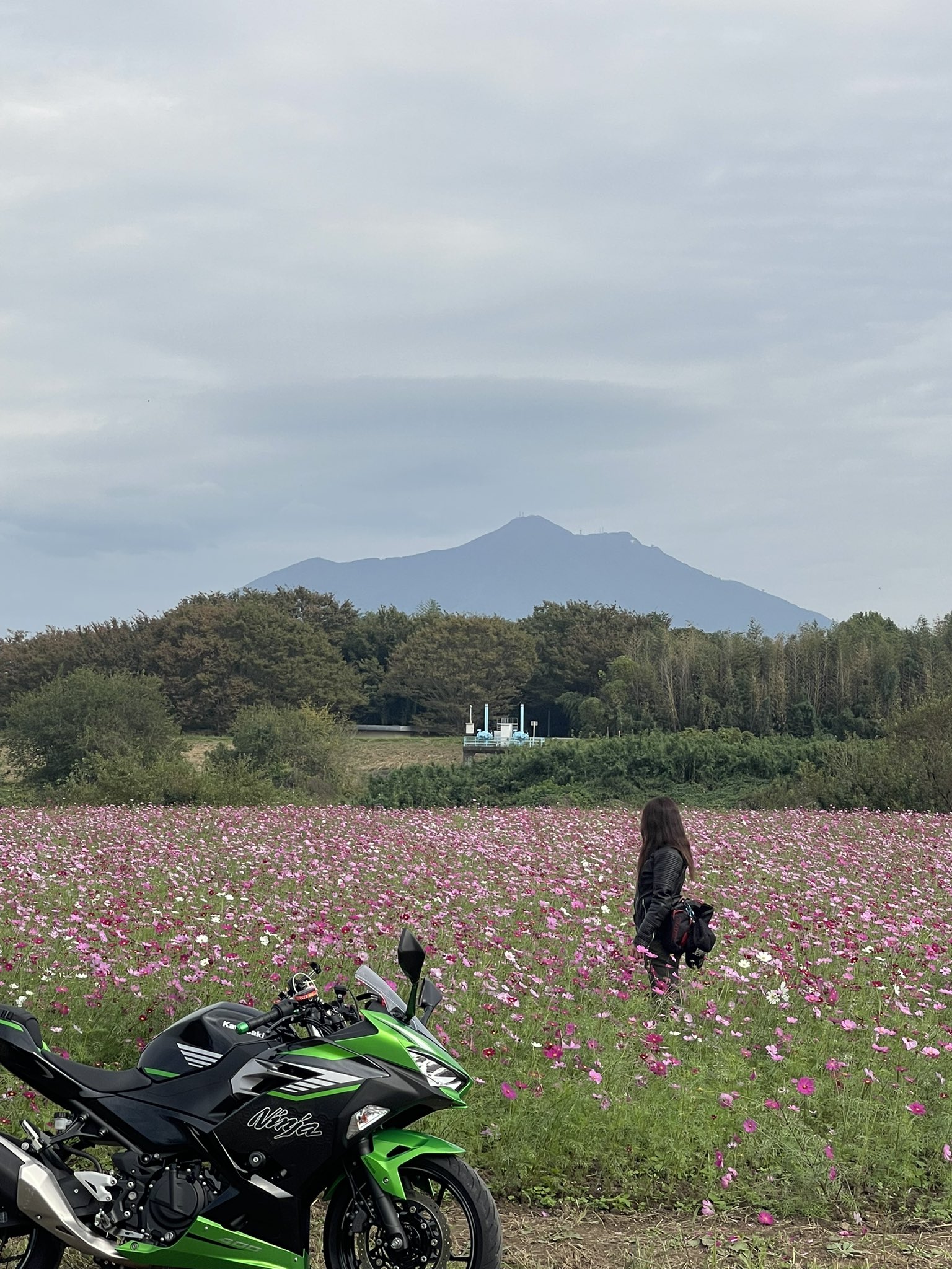 Nao様 nao (@nao481214) / X