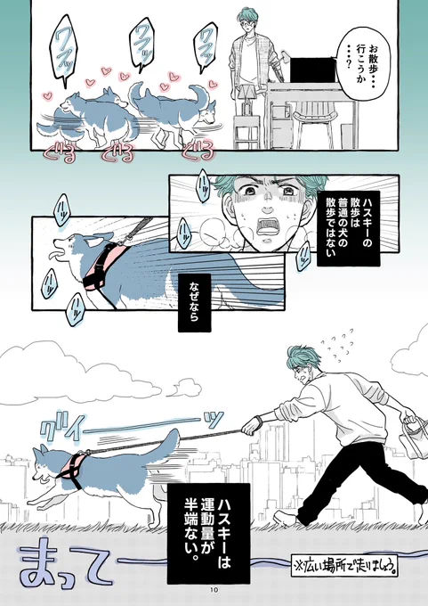 【おじさんがハスキー犬と一緒に暮らして、改善する良いこと。その1】
(0/1) 