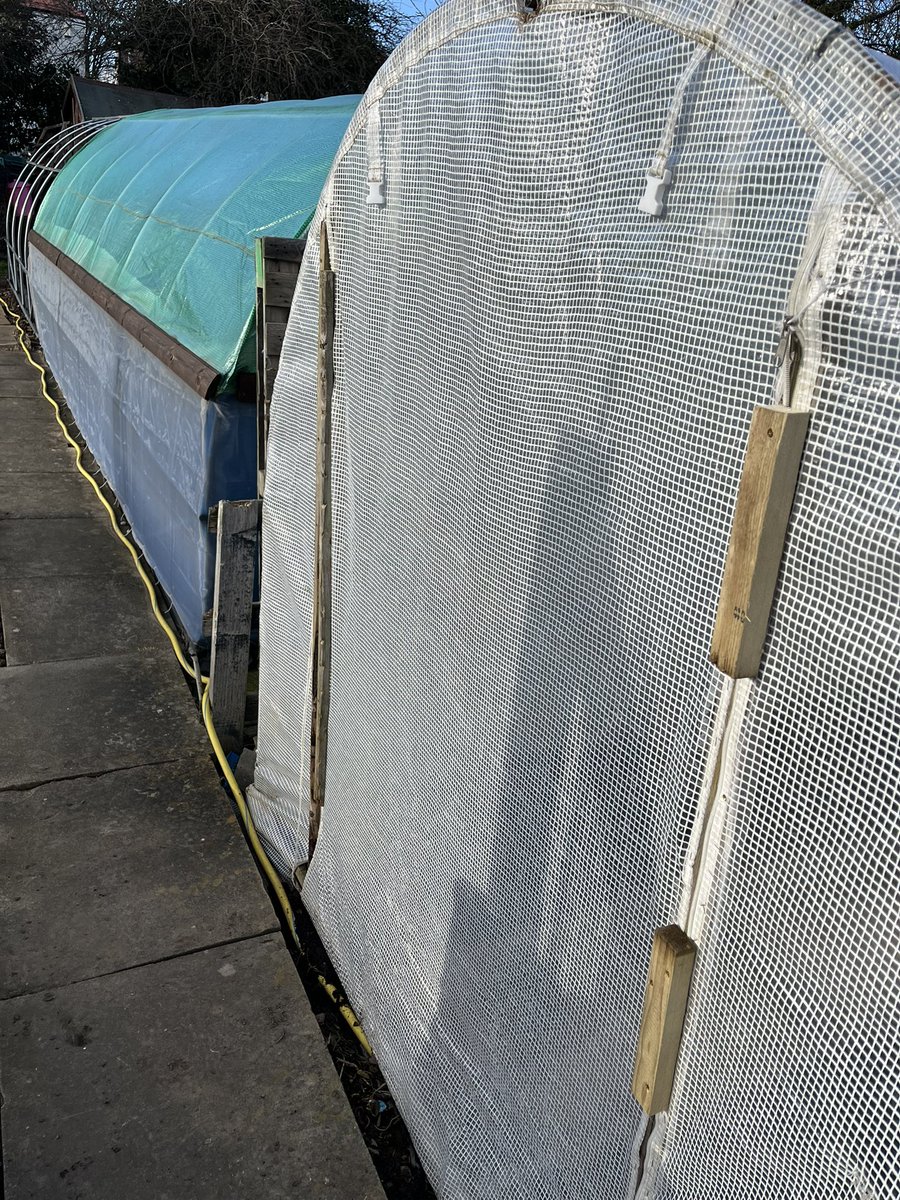 All the storms took their toll on the polly tunnel. Zip damaged on both sides. Cost to replace silly given its age. Only one thing for it, DIY Repair. Battons on the inside, stapled to the wood, secured with off cuts. ✅ Job done, will last another season. #GardenersWorld #DIY