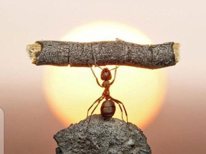 Success requires taking work as your pleasure. The joy of work is reflected in the outcomes of your actions. Hence your actions must be significant to your purpose all the time!