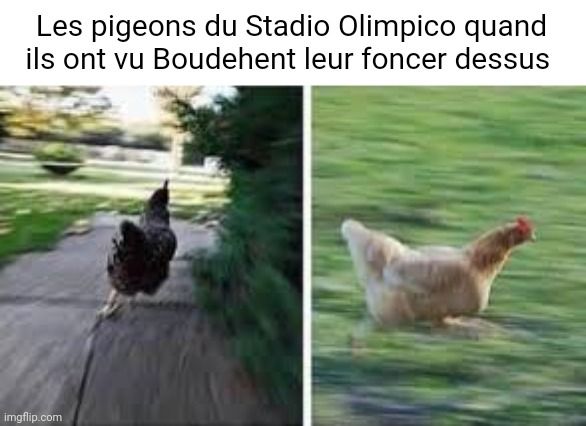 Et maso en plus ces piafs, ils viennent en redemander

#ITAFRA | #SixNationsRugby #XVdeFrance