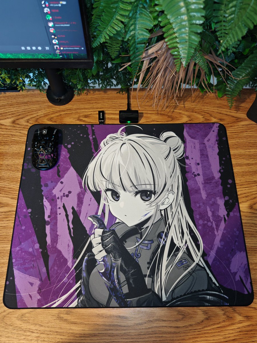 Corlitech's tweet image. Il est vraiment magnifique se tapis c'est abusé vidéo mercredi prochain merci au bg de @MaxEsportGG pour l'envoi 👌