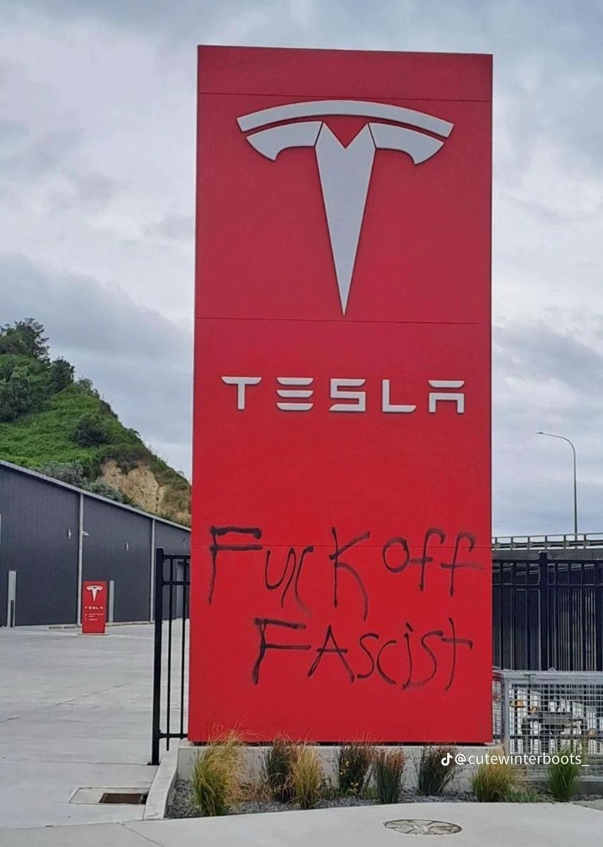 Make Germany Great Again boycotting Tesla