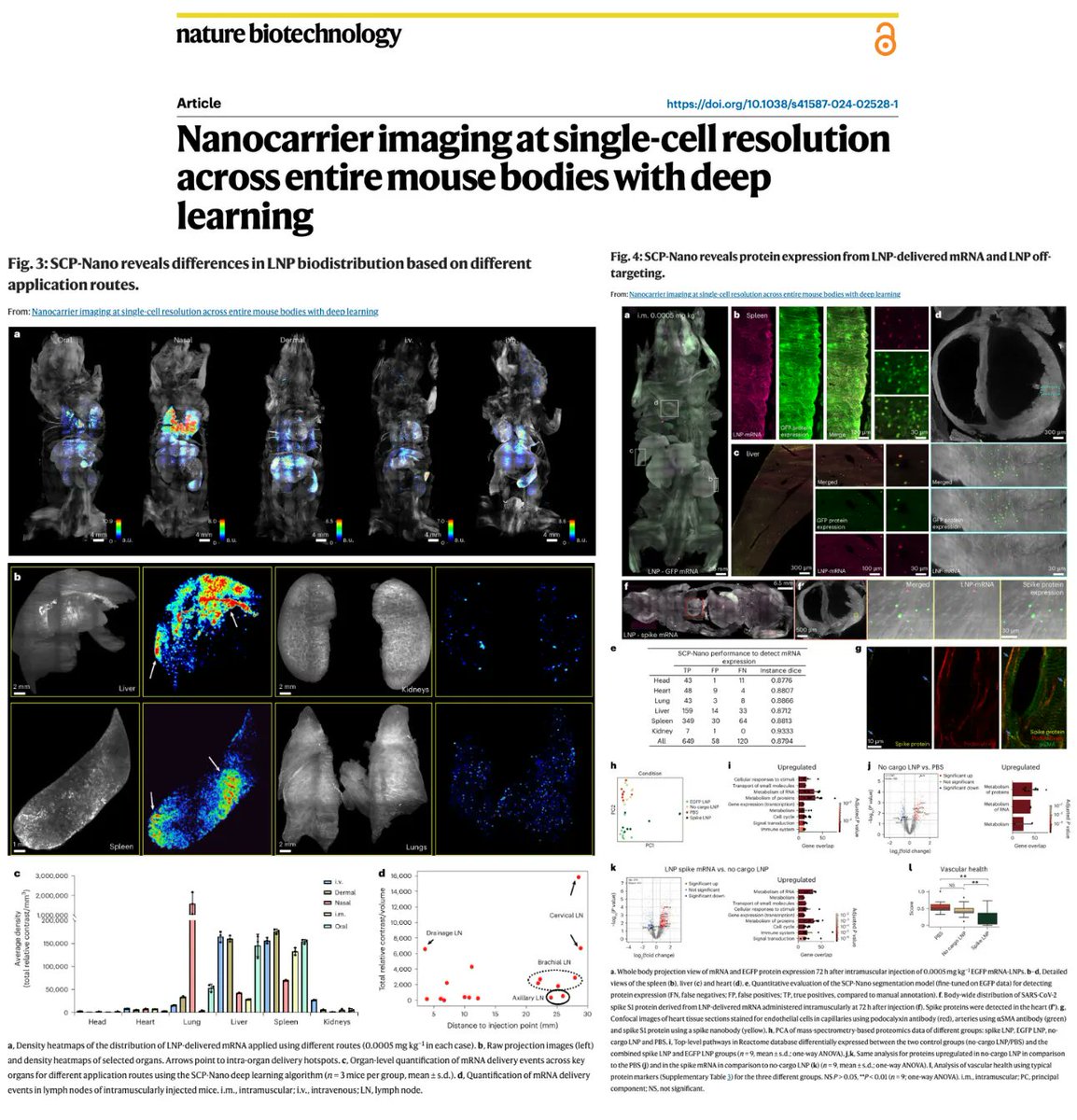 NicHulscher's tweet image. As of 2025, we now know that COVID-19 mRNA injections distribute to vital organs, triggering uncontrolled production of toxic Spike protein that circulates for over TWO years.

Those responsible for this mass gene-therapy experiment must be held accountable and publicly apologize…