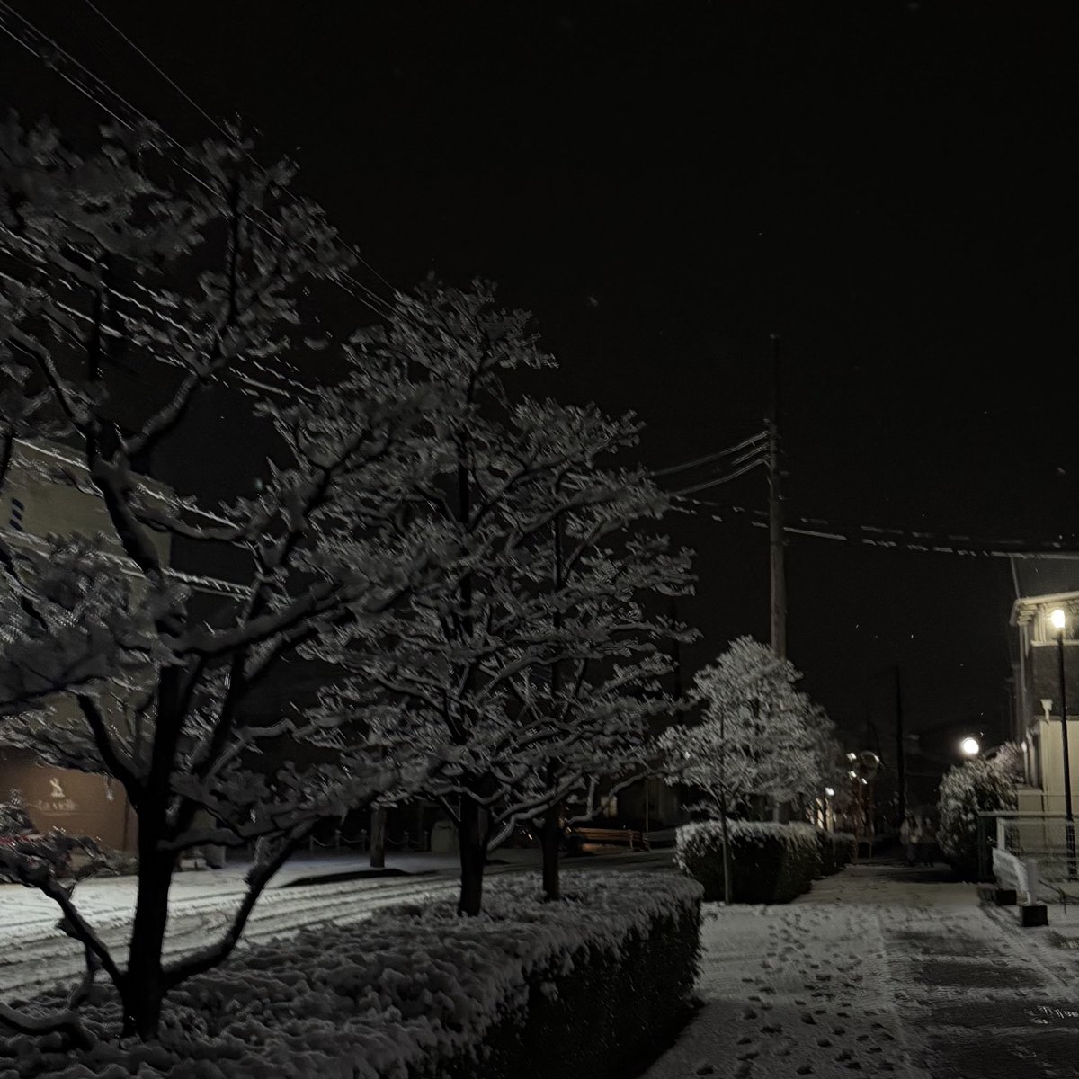 ll903i's tweet photo. ❄️❄️ https://t.co/IHVfRtteca
