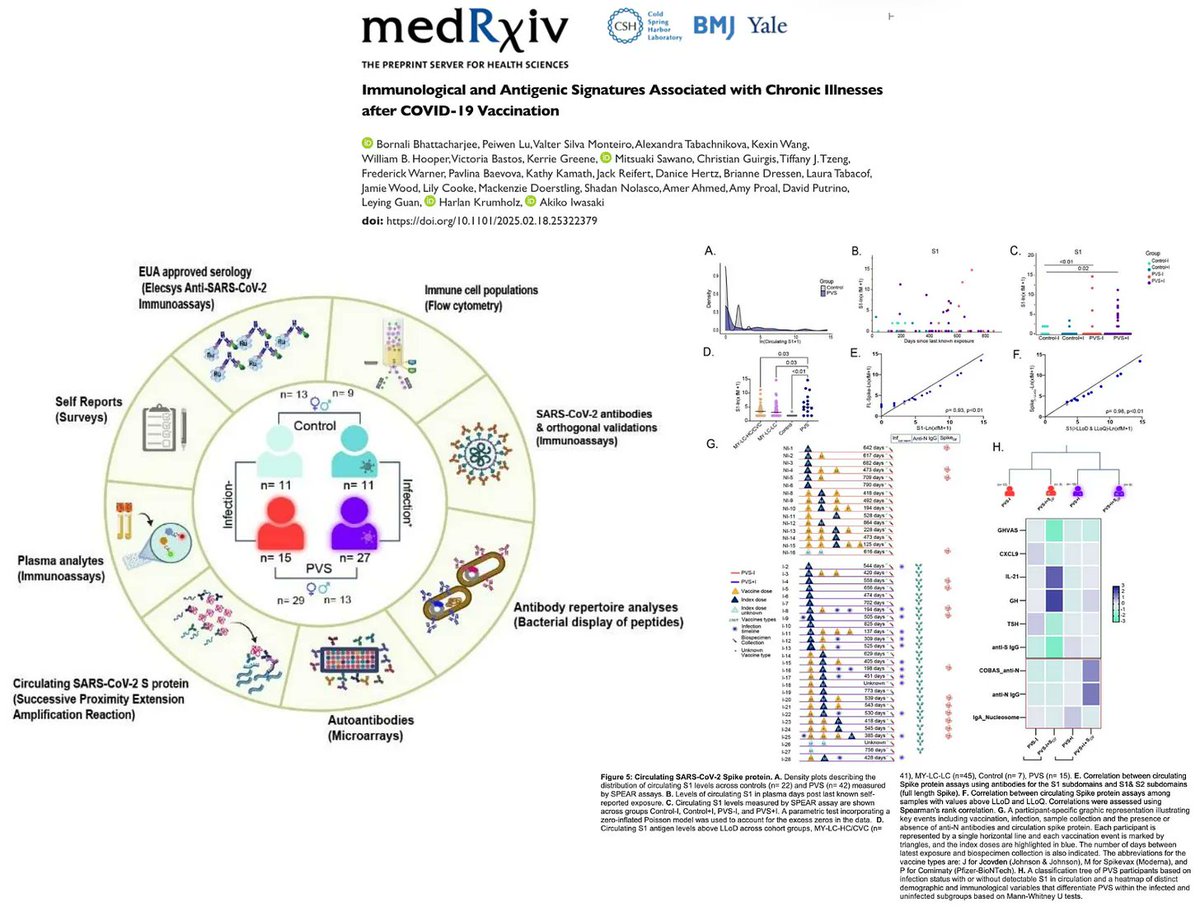NicHulscher's tweet image. As of 2025, we now know that COVID-19 mRNA injections distribute to vital organs, triggering uncontrolled production of toxic Spike protein that circulates for over TWO years.

Those responsible for this mass gene-therapy experiment must be held accountable and publicly apologize…