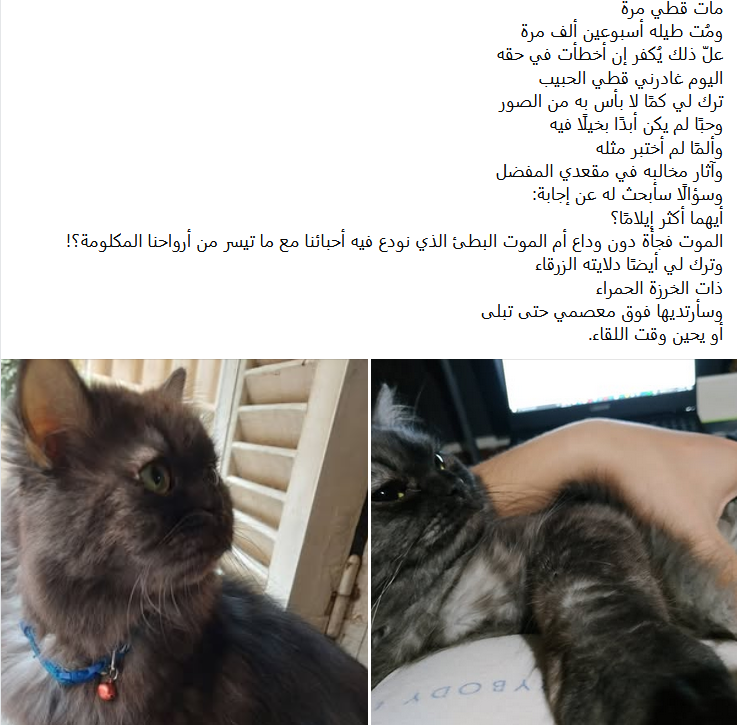 Acelamdunk's tweet photo. وداعًا أو ربما إلى لقاء قريب، ياكو.. https://t.co/34J0x9Is2n