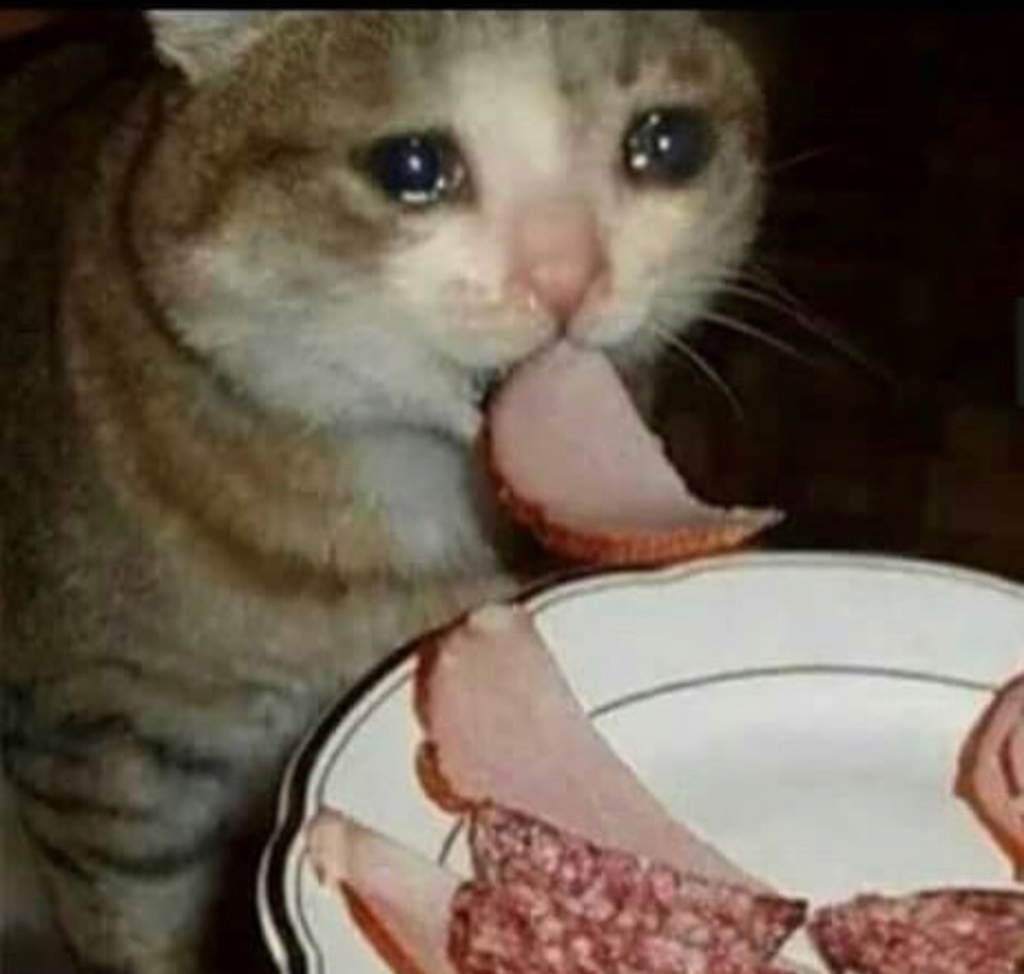 Le match de Léo Barré qui dissuade temporairement les supporters du Stade Français de se défenestrer

#ITAFRA | #SixNationsRugby #XVdeFrance