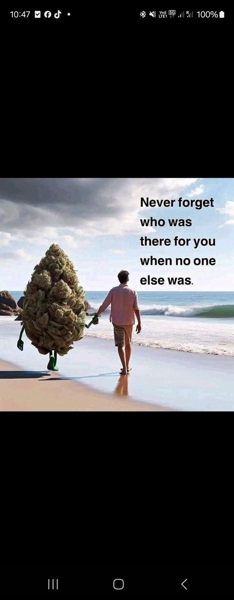 Denkt dran, wer euch nie im Stich ließ – bleibt loyal! Geht wählen und stimmt für die Legalisierung! ✊🌿💚

#SPD #DieGrünen #DieLinke #FDP #Flyingstoned 
#Deutschland #Bundestagswahl2025 #Weedmob #weedmemes