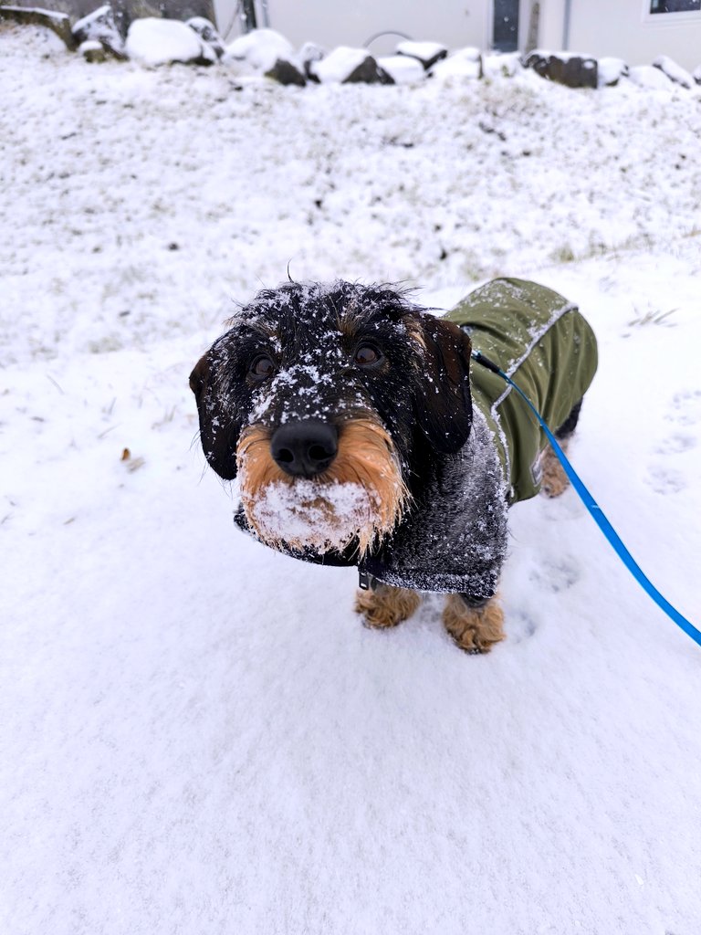 Hello my Friends. Im Moment hab ich wenig Muse für Bilder usw. Die Welt macht mich fertig.... Was ist nur los .