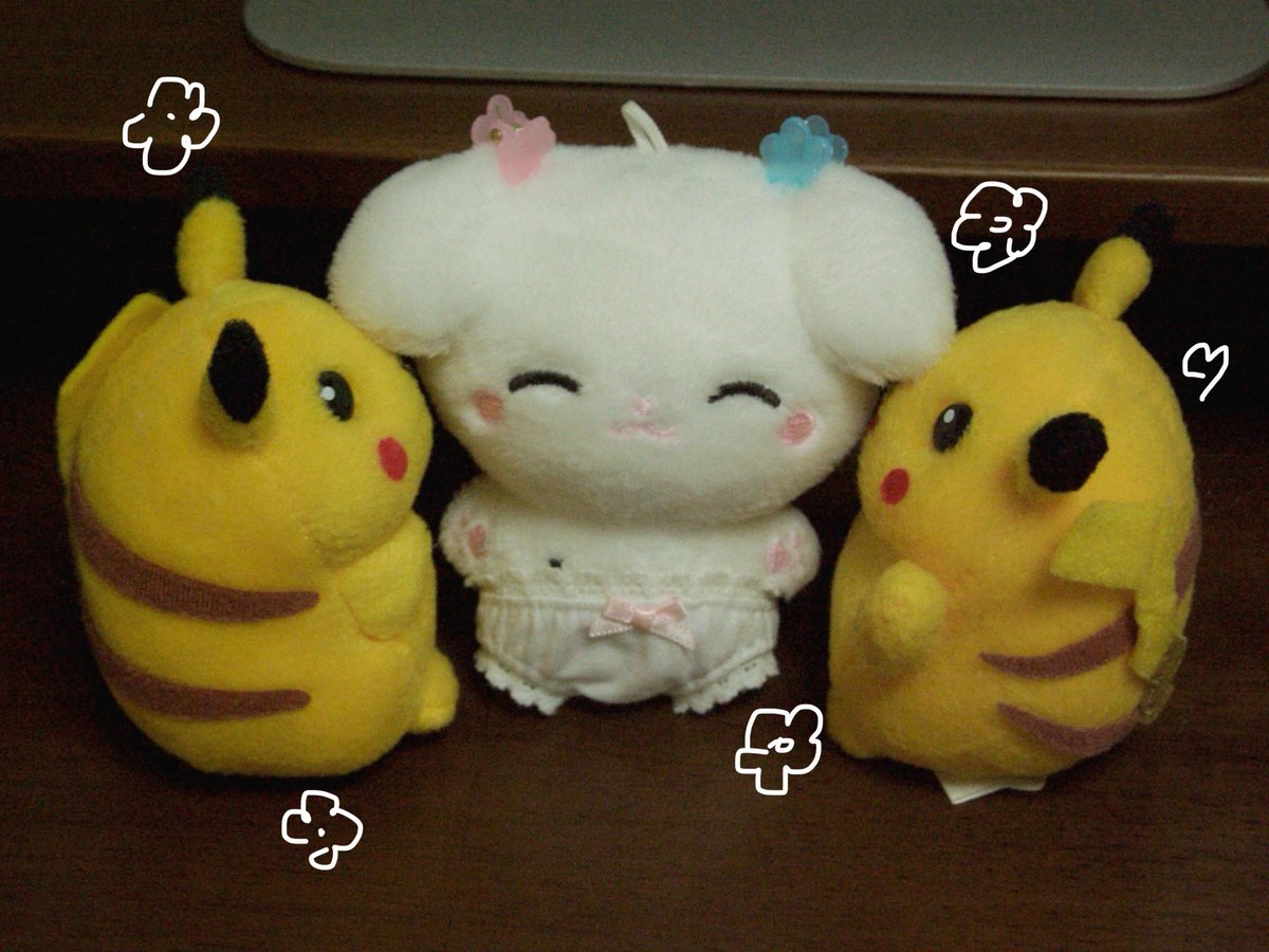 머리핀 선물을 받은 호이뽀