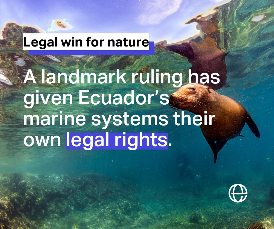 There are many ways the law can protect people and planet. 
 
Ecuador has issued a landmark ruling, meaning its marine ecosystems now have their own legal rights to 'maintain their natural life cycles, structure, functions and evolutionary processes'. 

brnw.ch/21wQTkS