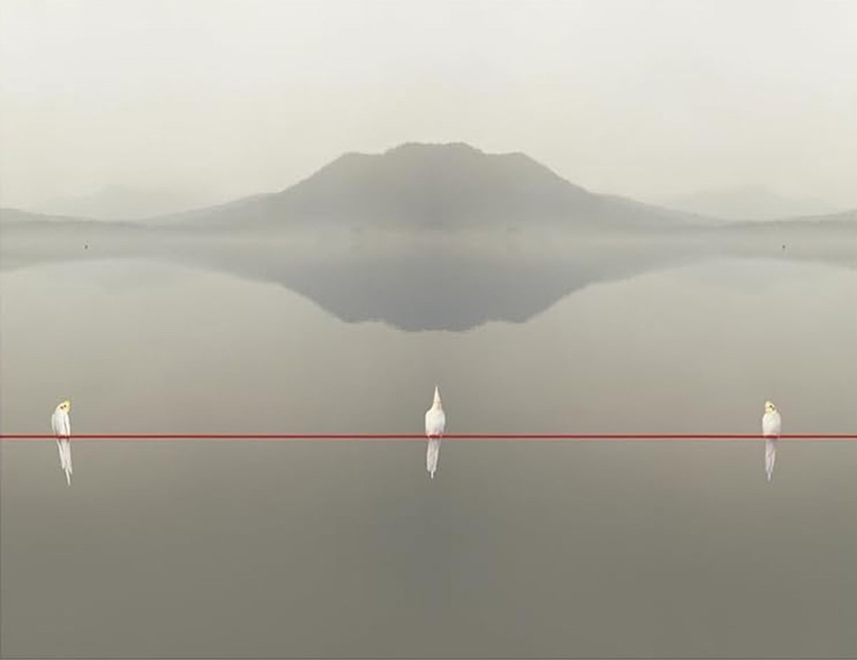 "Non dico addio", di Han Kang "il romanzo di un amore estremo", "una candela accesa negli abissi dell’anima umana", "la storia del massacro di Jeju." Una insolita recensione: fabulemagazine.it/recensione-a-n…  #HanKang #nobel #letteratura #corea #massacro #romanzo