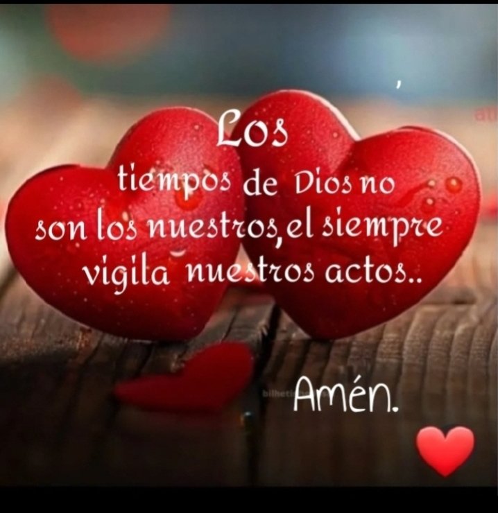 Alice🇨🇵TeamUnidoS (@aliceunidosteam) on Twitter photo <a href="/miarianmoreno/">MIRIAN_RD🇩🇴 #LoveDMami ❤AmigosD❤</a> <a href="/sdh_2031/">𓃵MBS🇸🇦 💛🖤🫶صالح الحلوان 🫶💛🖤🇸🇦 MBS 𓃵</a> <a href="/Tlayanl2/">Tülay Şanlı 🇹🇷</a> <a href="/bordong2/">GΣЯΛ</a> <a href="/Alana__28/">#AmigosD❤ #LoveDmami</a> <a href="/Luis__Ro/">Luis Rodríguez</a> <a href="/_lawonder/">༺ •✫ 𝘞𝘰𝘯𝘥𝘦𝘳 ✫• ༻</a> <a href="/fitoazul1/">fitoazul #TFFLOVE</a> <a href="/ElderAcost/">ELDER AC✪STA 📚23ʸʳˢ⚽️</a> <a href="/srone82/">♥ 🏋️ 💪MIGUEL 💪 ♥</a> <a href="/Saori__M/">ღƪ(ˆ◡ˆ)ʃ♡ℳДƦîƝ இ️ ♡</a> <a href="/mamiRD_/">🇩🇴mamiRD_ #LoveDeMami❤ AmigosDe❤</a> <a href="/insaurraldeh/">⭐POLI⭐ #MGWV⭐</a> <a href="/Mabel_2021_/">Mabel</a> <a href="/vinaymishra1961/">VINAY</a> <a href="/nena_bovb51/">Nena</a> <a href="/GFBS17/">👦#Gust `s TFBS</a> <a href="/aro_rojas/">Tiger 💚👮♂️#ActiveGains @f_a_r_a_h_9 @sitaravir</a> <a href="/fernandoreyesy/">Fernando 💯💯💯</a> ♥️♥️♥️
♥️#LoveDeMami
♥️#AmigosD♥️
♥️♥️♥️
✨⭐<a href="/miarianmoreno/">MIRIAN_RD🇩🇴 #LoveDMami ❤AmigosD❤</a>⭐✨
<a href="/sdh_2031/">𓃵MBS🇸🇦 💛🖤🫶صالح الحلوان 🫶💛🖤🇸🇦 MBS 𓃵</a> <a href="/Tlayanl2/">Tülay Şanlı 🇹🇷</a>
<a href="/bordong2/">GΣЯΛ</a> <a href="/Alana__28/">#AmigosD❤ #LoveDmami</a>
<a href="/Luis__Ro/">Luis Rodríguez</a> <a href="/_lawonder/">༺ •✫ 𝘞𝘰𝘯𝘥𝘦𝘳 ✫• ༻</a>
<a href="/fitoazul1/">fitoazul #TFFLOVE</a> <a href="/ElderAcost/">ELDER AC✪STA 📚23ʸʳˢ⚽️</a>
<a href="/srone82/">♥ 🏋️ 💪MIGUEL 💪 ♥</a> <a href="/Saori__M/">ღƪ(ˆ◡ˆ)ʃ♡ℳДƦîƝ இ️ ♡</a>
<a href="/mamiRD_/">🇩🇴mamiRD_ #LoveDeMami❤ AmigosDe❤</a> <a href="/insaurraldeh/">⭐POLI⭐ #MGWV⭐</a>
♥️
<a href="/Mabel_2021_/">Mabel</a>
<a href="/vinaymishra1961/">VINAY</a>
<a href="/nena_bovb51/">Nena</a>
<a href="/GFBS17/">👦#Gust `s TFBS</a> <a href="/aro_rojas/">Tiger 💚👮♂️#ActiveGains @f_a_r_a_h_9 @sitaravir</a>
<a href="/fernandoreyesy/">Fernando 💯💯💯</a> <a href="/miarianmoreno/">MIRIAN_RD🇩🇴 #LoveDMami ❤AmigosD❤</a> <a href="/sdh_2031/">𓃵MBS🇸🇦 💛🖤🫶صالح الحلوان 🫶💛🖤🇸🇦 MBS 𓃵</a> <a href="/Tlayanl2/">Tülay Şanlı 🇹🇷</a> <a href="/bordong2/">GΣЯΛ</a> <a href="/Alana__28/">#AmigosD❤ #LoveDmami</a> <a href="/Luis__Ro/">Luis Rodríguez</a> <a href="/_lawonder/">༺ •✫ 𝘞𝘰𝘯𝘥𝘦𝘳 ✫• ༻</a> <a href="/fitoazul1/">fitoazul #TFFLOVE</a> <a href="/ElderAcost/">ELDER AC✪STA 📚23ʸʳˢ⚽️</a> <a href="/srone82/">♥ 🏋️ 💪MIGUEL 💪 ♥</a> <a href="/Saori__M/">ღƪ(ˆ◡ˆ)ʃ♡ℳДƦîƝ இ️ ♡</a> <a href="/mamiRD_/">🇩🇴mamiRD_ #LoveDeMami❤ AmigosDe❤</a> <a href="/insaurraldeh/">⭐POLI⭐ #MGWV⭐</a> <a href="/Mabel_2021_/">Mabel</a> <a href="/vinaymishra1961/">VINAY</a> <a href="/nena_bovb51/">Nena</a> <a href="/GFBS17/">👦#Gust `s TFBS</a> <a href="/aro_rojas/">Tiger 💚👮♂️#ActiveGains @f_a_r_a_h_9 @sitaravir</a> <a href="/fernandoreyesy/">Fernando 💯💯💯</a> ♥️♥️♥️
♥️#LoveDeMami
♥️#AmigosD♥️
♥️♥️♥️
✨⭐<a href="/miarianmoreno/">MIRIAN_RD🇩🇴 #LoveDMami ❤AmigosD❤</a>⭐✨
<a href="/sdh_2031/">𓃵MBS🇸🇦 💛🖤🫶صالح الحلوان 🫶💛🖤🇸🇦 MBS 𓃵</a> <a href="/Tlayanl2/">Tülay Şanlı 🇹🇷</a>
<a href="/bordong2/">GΣЯΛ</a> <a href="/Alana__28/">#AmigosD❤ #LoveDmami</a>
<a href="/Luis__Ro/">Luis Rodríguez</a> <a href="/_lawonder/">༺ •✫ 𝘞𝘰𝘯𝘥𝘦𝘳 ✫• ༻</a>
<a href="/fitoazul1/">fitoazul #TFFLOVE</a> <a href="/ElderAcost/">ELDER AC✪STA 📚23ʸʳˢ⚽️</a>
<a href="/srone82/">♥ 🏋️ 💪MIGUEL 💪 ♥</a> <a href="/Saori__M/">ღƪ(ˆ◡ˆ)ʃ♡ℳДƦîƝ இ️ ♡</a>
<a href="/mamiRD_/">🇩🇴mamiRD_ #LoveDeMami❤ AmigosDe❤</a> <a href="/insaurraldeh/">⭐POLI⭐ #MGWV⭐</a>
♥️
<a href="/Mabel_2021_/">Mabel</a>
<a href="/vinaymishra1961/">VINAY</a>
<a href="/nena_bovb51/">Nena</a>
<a href="/GFBS17/">👦#Gust `s TFBS</a> <a href="/aro_rojas/">Tiger 💚👮♂️#ActiveGains @f_a_r_a_h_9 @sitaravir</a>
<a href="/fernandoreyesy/">Fernando 💯💯💯</a>