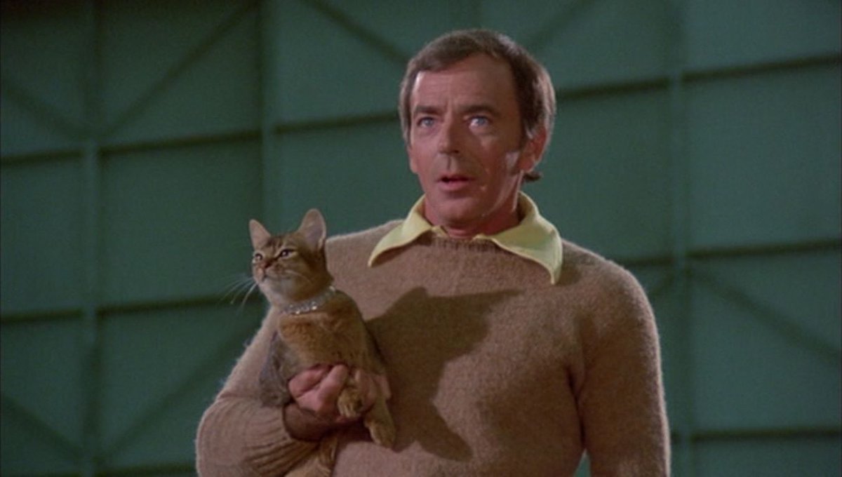 TalkingPicsTV's tweet photo. The 'purr-fect' Sunday matinee! Close encounters of the feline kind!

2pm THE CAT FROM OUTER SPACE (1978) #KenBarry #SandyDuncan sci-fi family comedy on #TPTV https://t.co/VEqGTYKImI