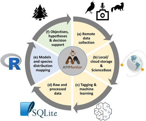 Methods in Ecology and Evolution tweet media