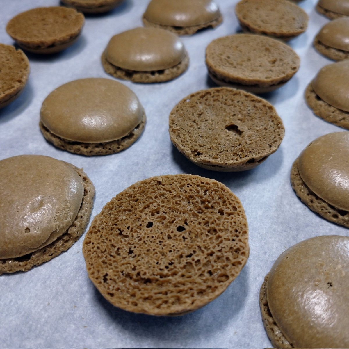 #まかろんらすく祭り 開催中👇️　
🏠️kyomacaron.thebase.in

🤎まかろんらすくほうじ茶🤎
1袋(100g)を2名様に
ﾌﾟﾚｾﾞﾝﾄさせて頂きます💕

応募：ﾌｫﾛｰ＆当投稿ﾘﾎﾟｽﾄ
締切：2/24㈪9時

そのまま食べてよし☝️
砕いて🍨に添えるもよし☝️
ｻｸｻｸｻﾞｸﾞｻﾞｸﾞ食感美味しいです😋