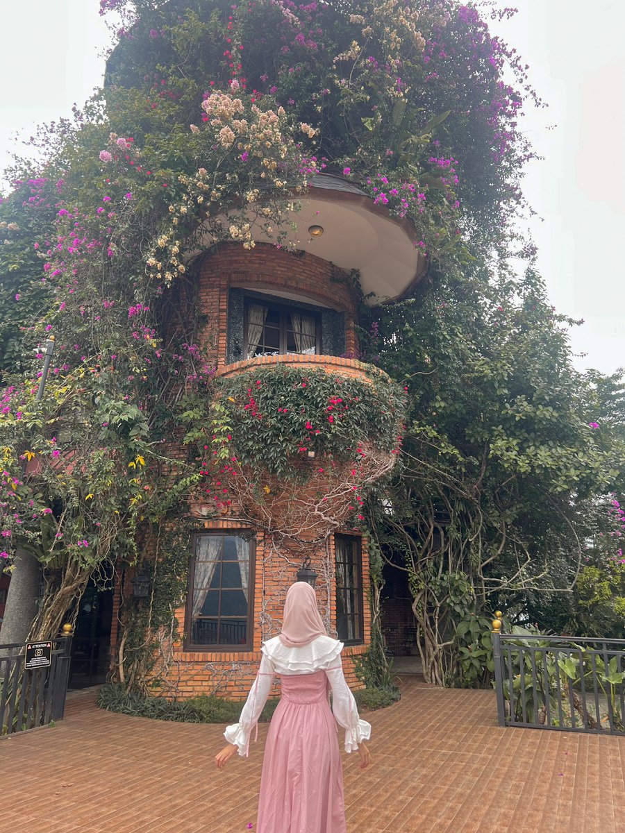 maevelvette's tweet image. hi i just got back from laputa ⁎⁺˳✧༚