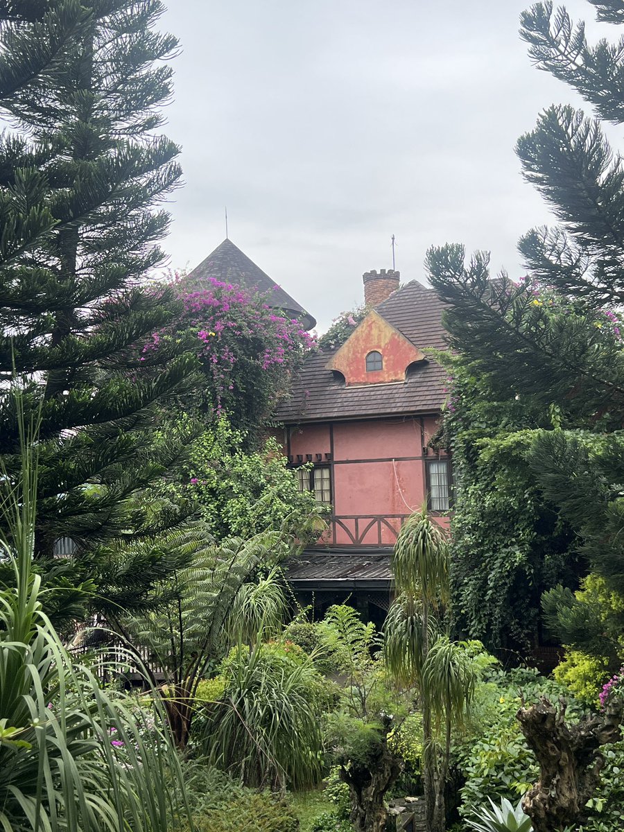 maevelvette's tweet image. hi i just got back from laputa ⁎⁺˳✧༚