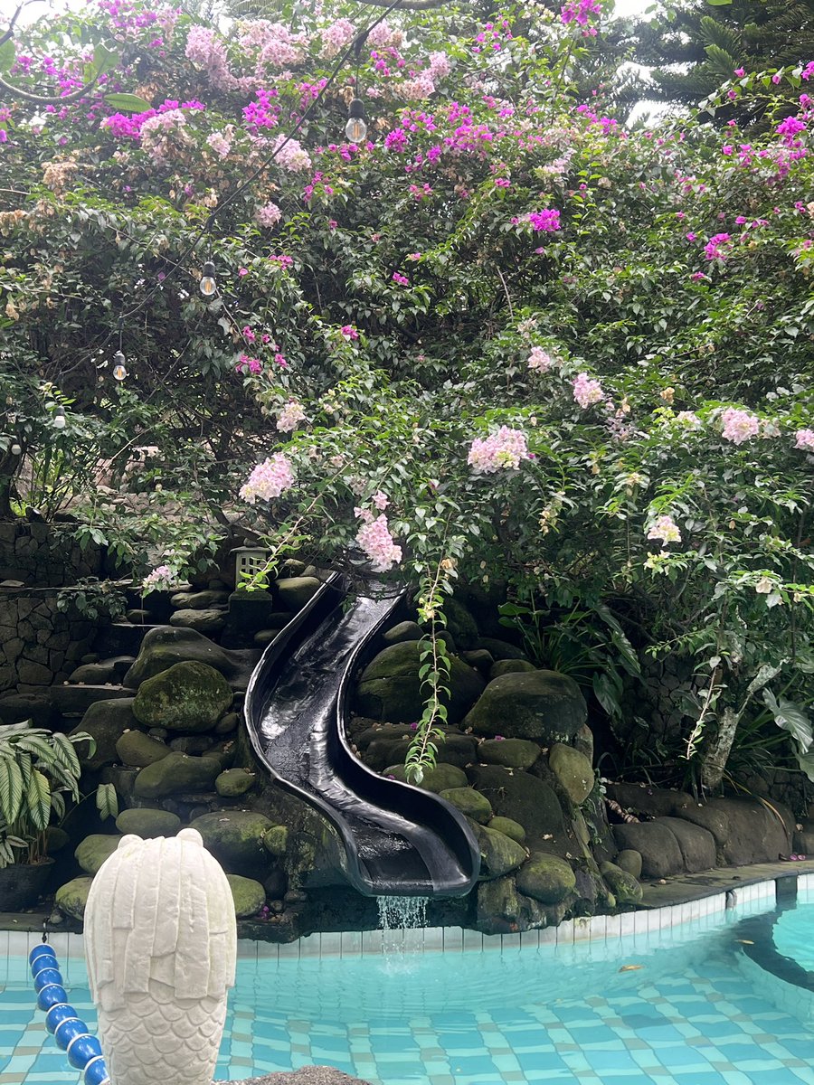 maevelvette's tweet image. hi i just got back from laputa ⁎⁺˳✧༚