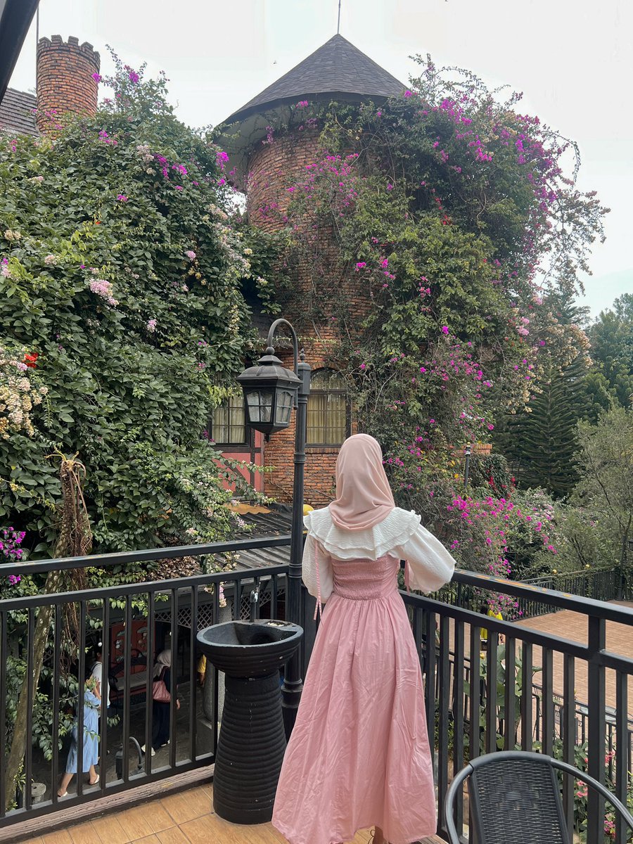 maevelvette's tweet image. hi i just got back from laputa ⁎⁺˳✧༚