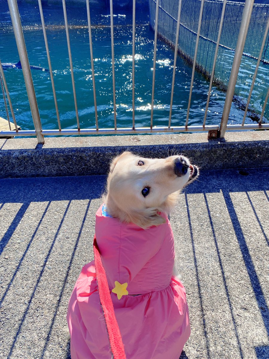 伊豆・三津シーパラダイス🐠🐡🐧🐬🐳