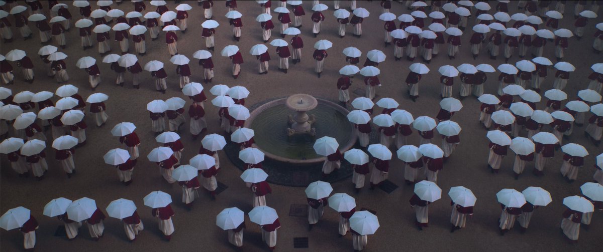 Dani Mantero tweet media