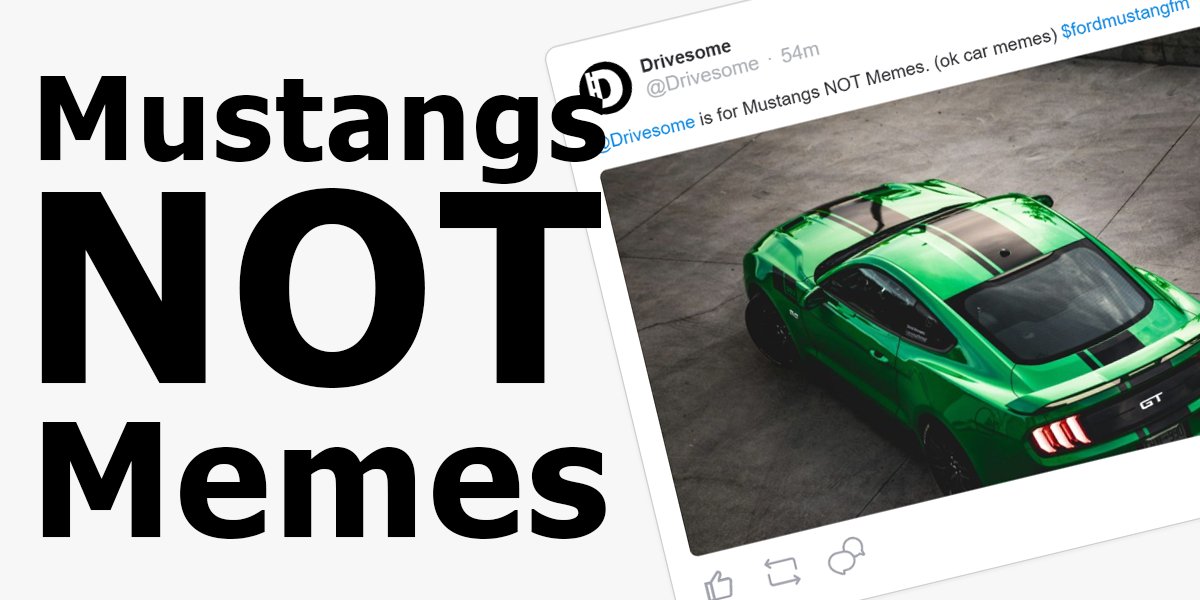 Mustangs NOT Memes.

Drivesome is about real cars, not recycled jokes. Drivesome.com

#showusyourmeme #mems #mustang #ford #cars