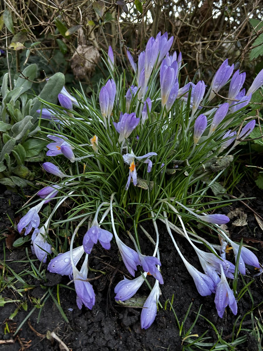 Victoria tweet media