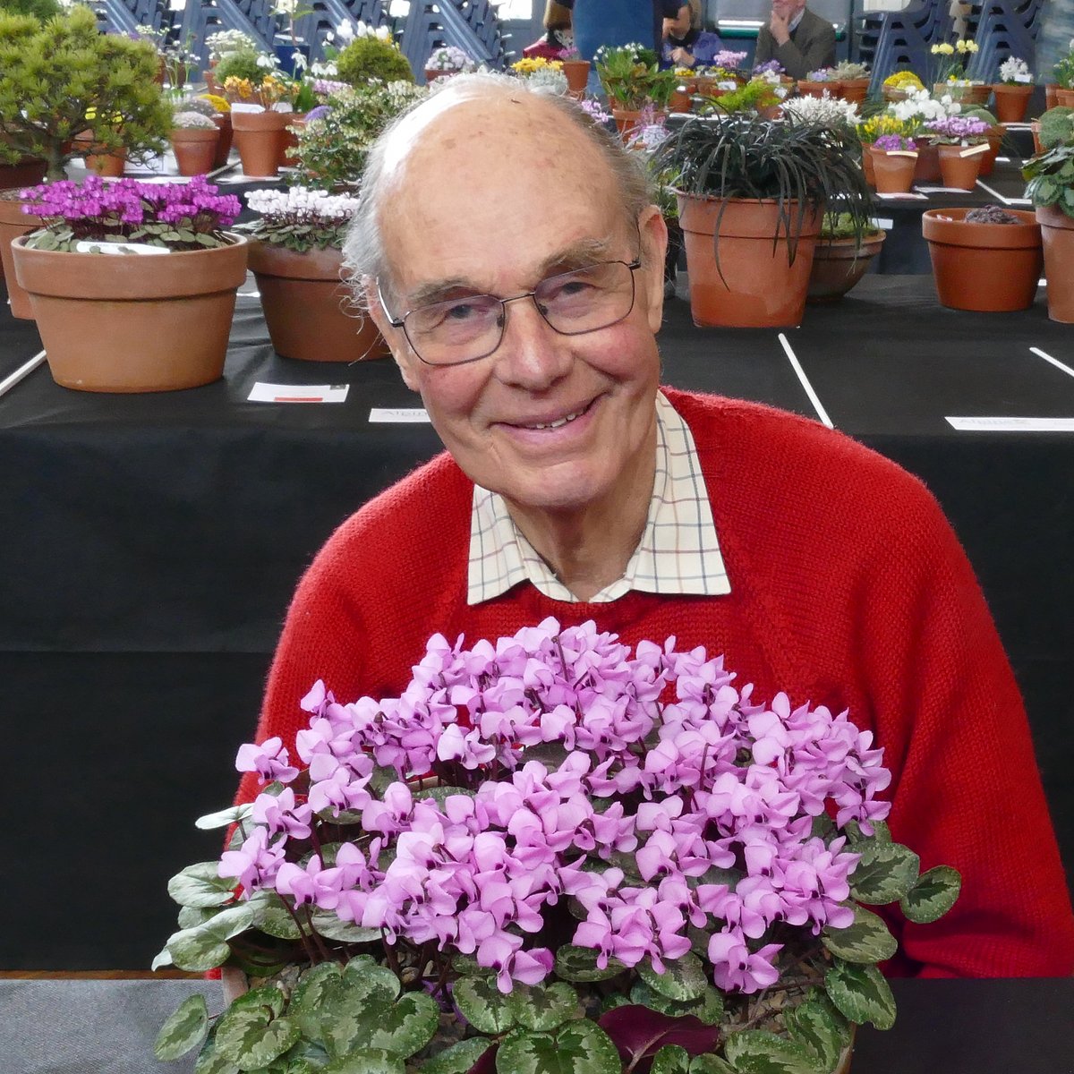 DonPeace's tweet photo. Ian Robertson wins the Farrer Medal (best in show) at the @alpinegardensoc Pershore show with Cyclamen alpinum.
See more Farrer/Forrest winning plants at: https://t.co/vERgi7A4tJ
and Farrer/Forrest winning growers at: https://t.co/DoDxSqAyRl https://t.co/gAZnfS3KBI