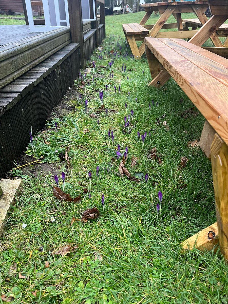 Spring has sprung in the nature garden! Looking forward to the next half term…cross country, Minor Cup, swimarathon, World Book Day book sale, annual reports, parent workshops, ADHD, Makaton &amp; safeguarding training for staff, IQM reaccreditation, Crabbe for Y3 and more cycling!