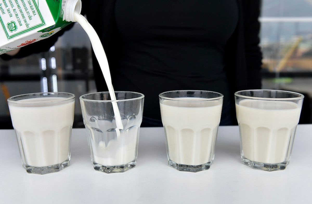 Är det vilseledande att kalla havremjölk för havremjölk? Ja, enligt EU-domstolen, och därför får bara animalisk mjölk kallas mjölk – med vissa undantag. Ändå har ordet mjölk länge använts om mycket annat. Landets fria gör en djupdykning i mjölk. buff.ly/3D2Mlot