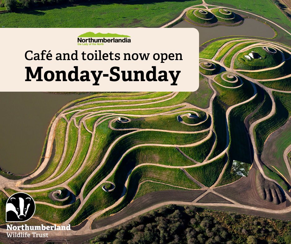 From tomorrow Northumberlandia Café and toilets will be open 7 days a week, 10:00 - 16:00!

nwt.org.uk/northumberland…