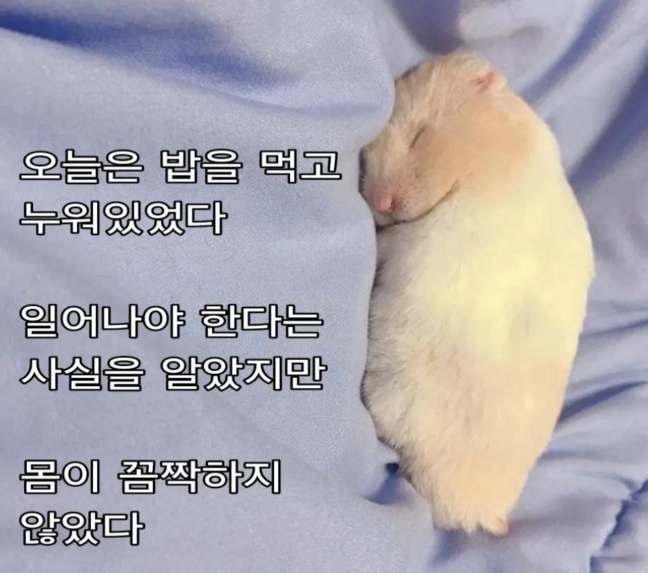 사회숙제♥ (@fovopobo) on Twitter photo 