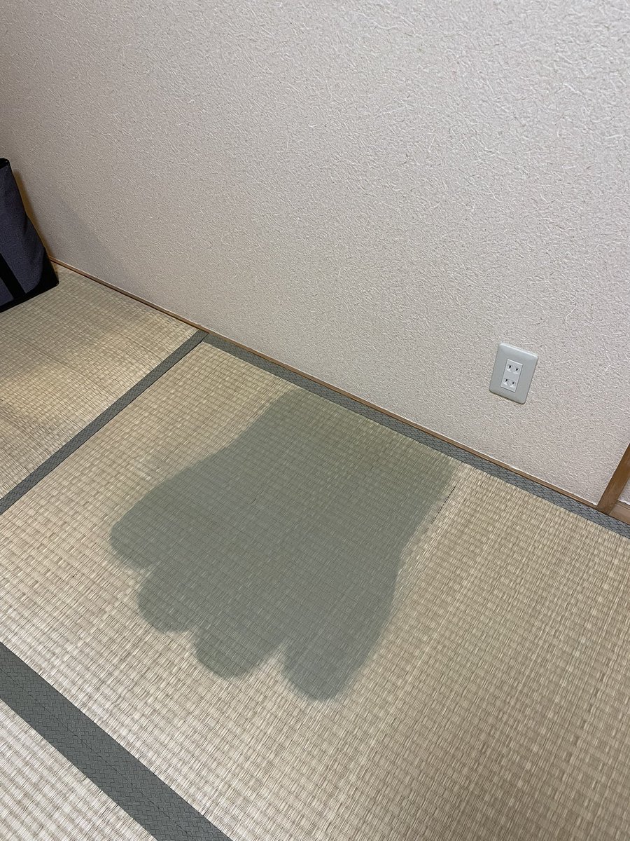 1日遅れやがTLが猫の日で猫いっぱいで幸せ。
写真は猫足型に作ったソファとその影が付いた畳。
#猫の日2025