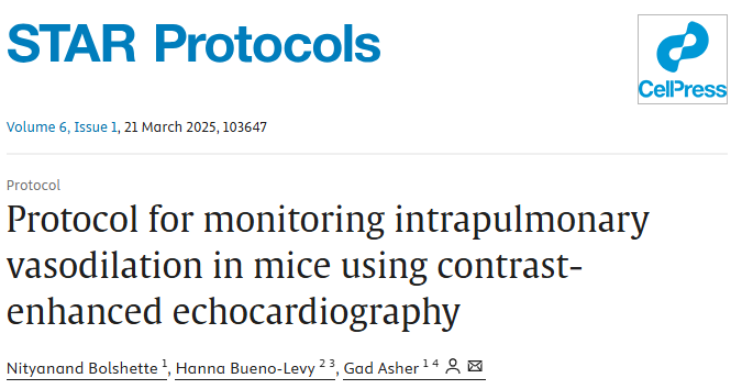 lab_asher's tweet image. Congratulations @Nitya0602 for his STAR protocol paper! In this protocol, we describe how to use contrast echocardiography to monitor intrapulmonary vasodilation in mice 🐭

sciencedirect.com/science/articl…