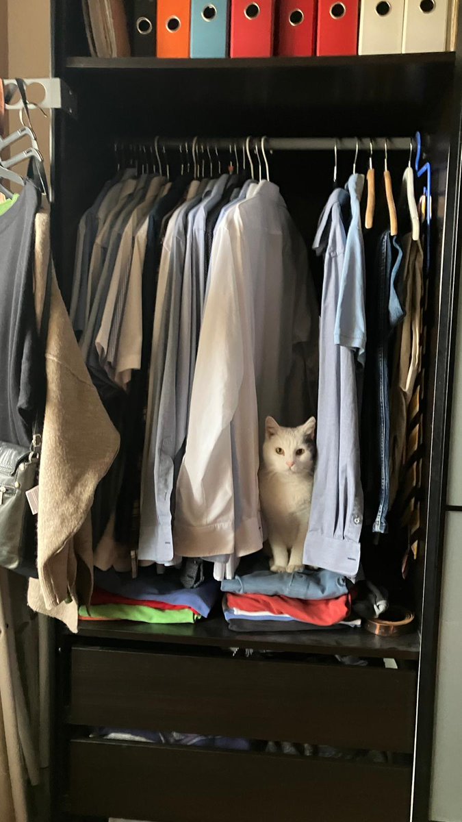 Claudia Choutouridou tweet media