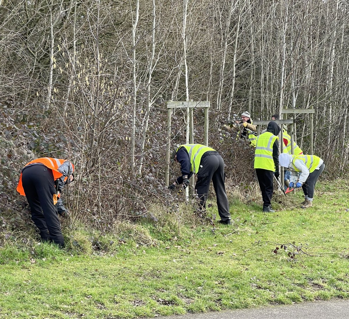Our next Task Event will be on Saturday 1 March 10.00 - 12.00 noon. We will meet at the Springwood Drive entrance to Chaddesden Wood. Please wear appropriate footwear &amp; clothing and bring gardening gloves if you have them. <a href="/derby_parks/">Derby Parks</a> <a href="/oakwoodderby/">Oakwood Derby</a> <a href="/Natures_Voice/">RSPB</a>