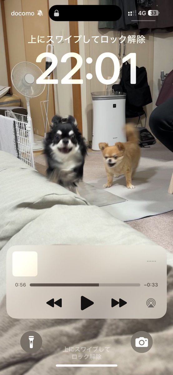 躍動感あふれるロック画面や、、、