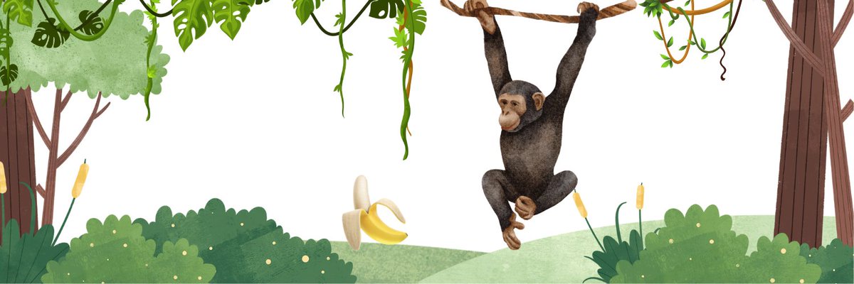 TWATACTO's tweet photo. Just chilling in the forest attracting all the apes ;)
5XR7u8NKxEARVzL8o2AZU5vBqCpgcDULTKcYQGqCpump
https://t.co/M0ybsMBXGk https://t.co/n7JLg0Q2GN