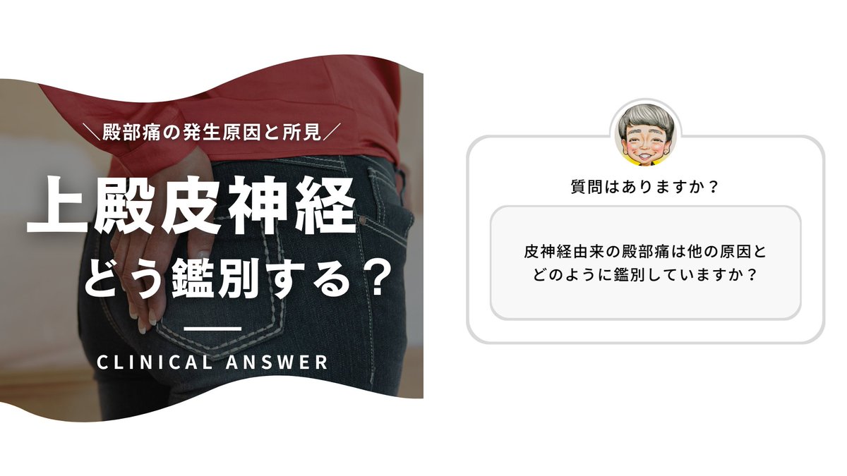 TakumiRodrigues's tweet photo. 上殿皮神経について↓ https://t.co/7q8yKOcPM1