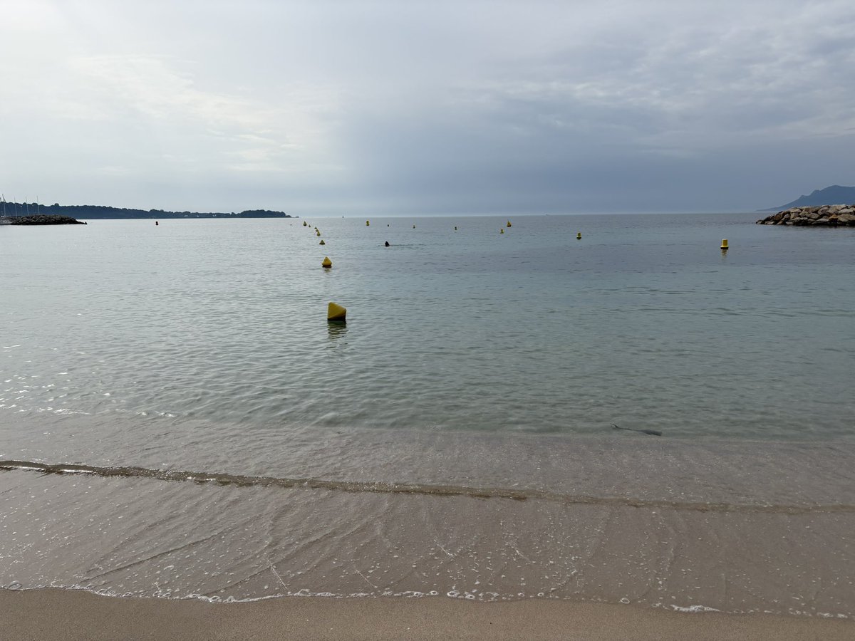 l_bottero's tweet image. #Bleu turquoise  🩵 #Cannes