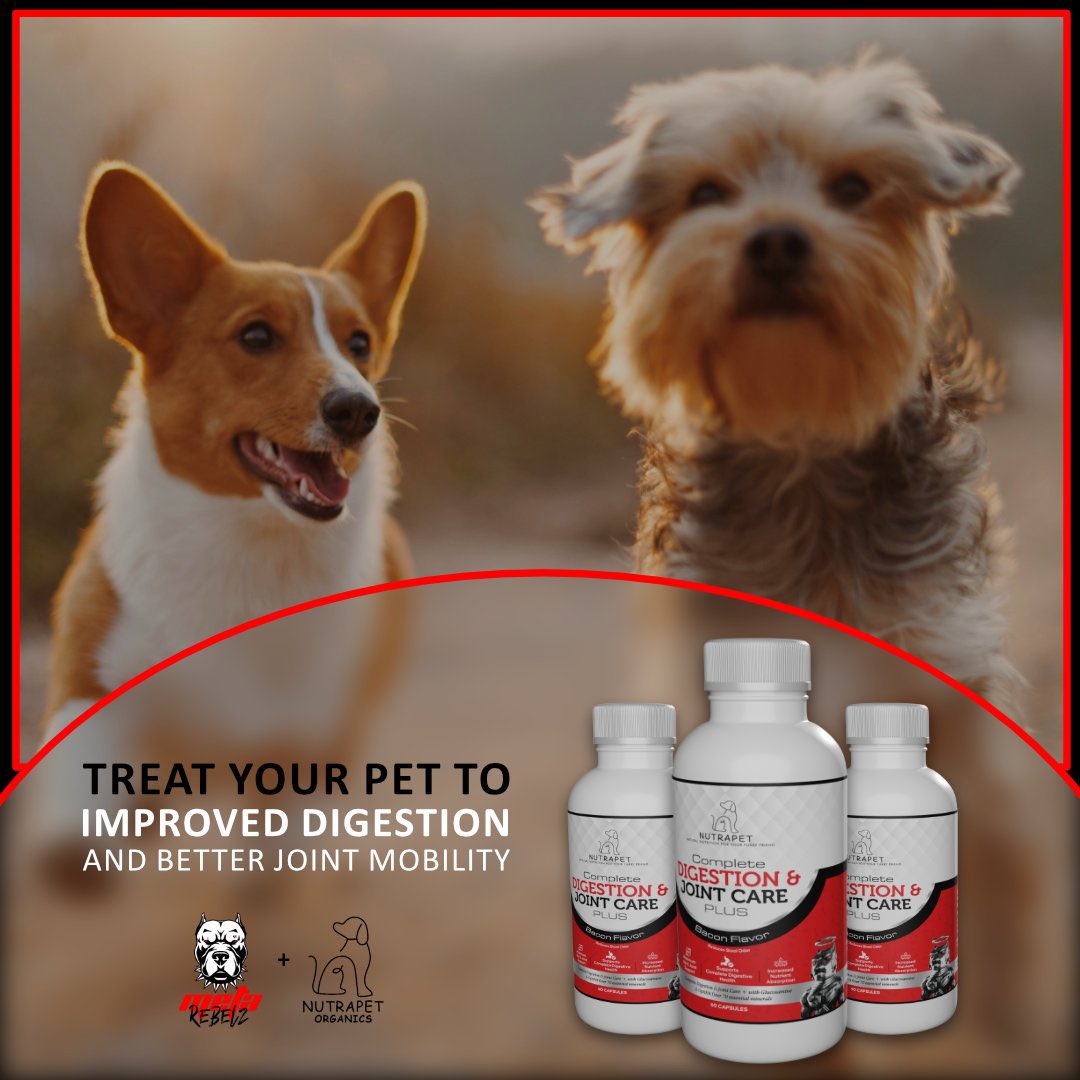 😪 While most are sleeping or rugging 🐾🐾🐾the ReBelz are always Up, Alert &amp; Building 👷🏽‍♂️🧱 because we’re NOT an NFT project 🤯👀. 

🐾<a href="/metarebelzeth/">Meta Rebelz 🐾🦴</a> is bridging #Web2 into #Web3 with a protein and supplement company for pets and humans with a collection of 8,500 NFTs . ( minting